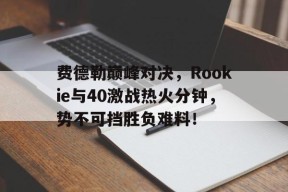  费德勒胜率 